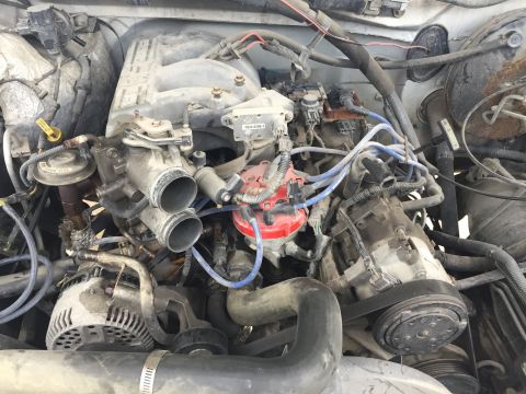 1996 Ford Bronco - Close-up view of a vehicle's engine bay, showing various components like the distributor, alternator, and intake manifold.