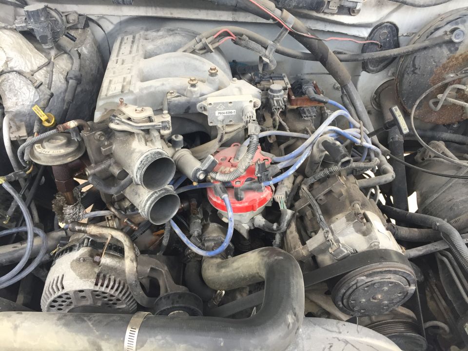 Engine bay with distributor, alternator, and intake manifold