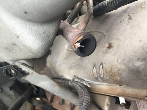 1996 Ford Bronco - A damaged hose is visible in the engine compartment, with wiring harnesses nearby.