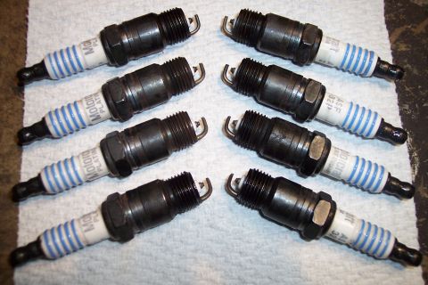 1995 Ford Bronco - A set of eight Motorcraft platinum spark plugs are arranged on a white surface.