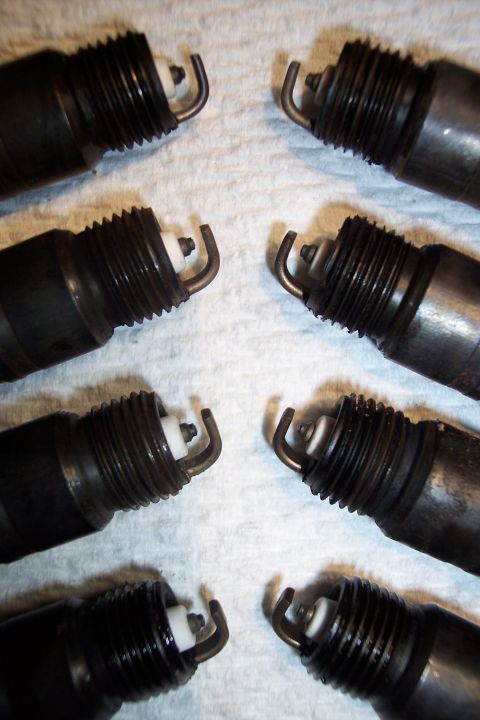 1995 Ford Bronco - Several used spark plugs are laid out on a textured white surface, showing their metal threads and ceramic insulators.