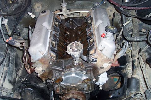 1995 Ford Bronco - Close-up view of a Ford V8 engine, showing the valve covers and distributor.
