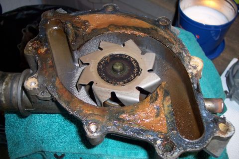 1995 Ford Bronco - This heavily corroded water pump shows significant wear on its impeller and housing.