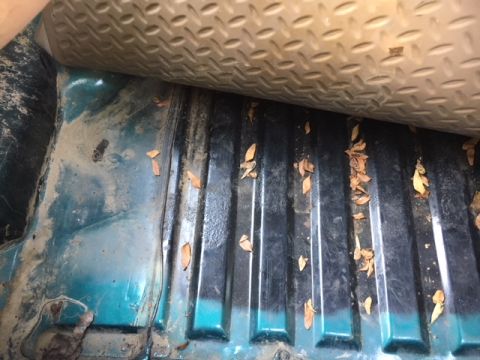 1996 Ford Bronco - The interior of a vehicle bed shows dirt and debris, with teal paint visible on the side paneling side paneling side paneling side paneling…