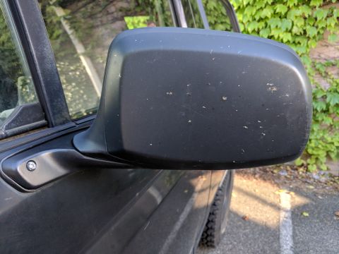 1995 Ford Bronco - Side mirror and door panel of an SUV, with ivy in the background.