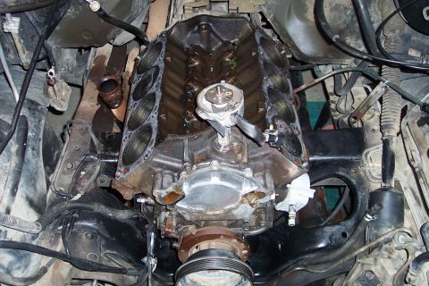 1995 Ford Bronco - Engine block assembly, likely undergoing repair or rebuild, with the distributor cap removed.