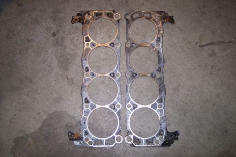 1995 Ford Bronco - Two engine head gaskets are shown lying on a concrete surface, likely after removal from an engine.