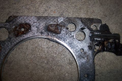 1995 Ford Bronco - This engine gasket shows significant wear and damage, including rust and oil buildup.