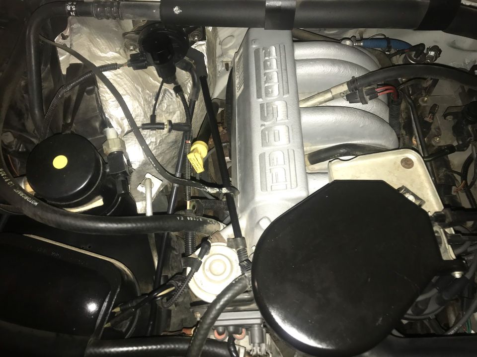 Ford 5.0 V8 engine bay with aluminum intake manifold and black hoses
