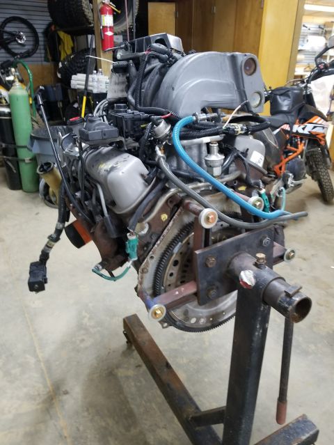 1996 Ford Bronco - Initial inspection rear