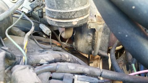 1985 Ford Bronco - Close-up view of engine bay components and wiring harnesses.