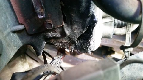 1985 Ford Bronco - This image shows a close-up of a greasy engine part with visible oil leaks.