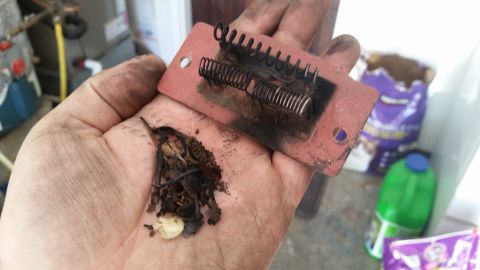1985 Ford Bronco - A blower motor resistor and debris are held in a dirty hand, with household items visible in the background.