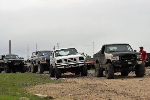 1989 Ford Bronco - Several Ford trucks and SUVs, including a Bronco and F-150, are parked together on a dirt area.