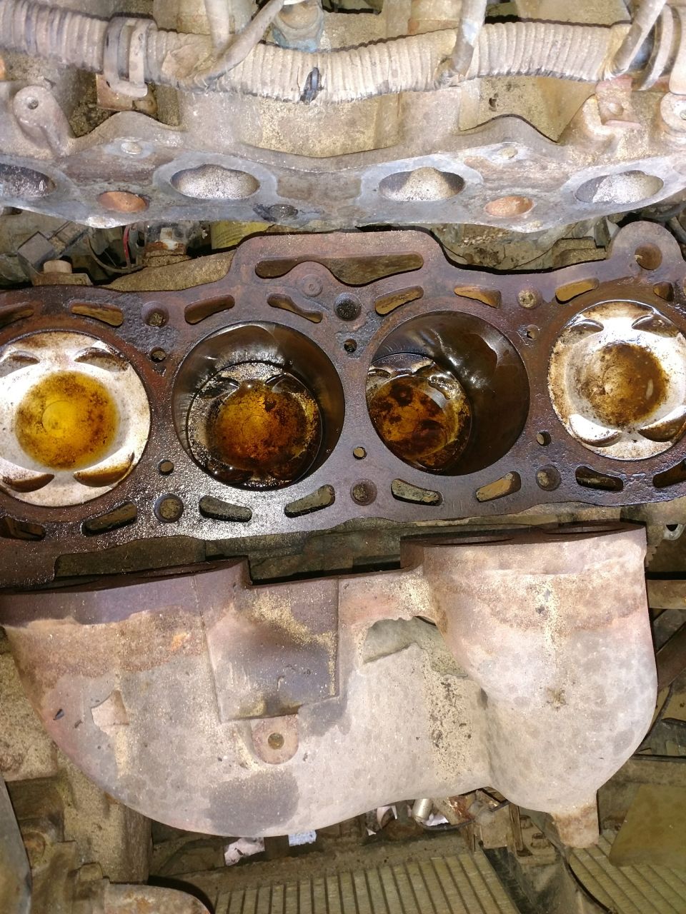 Engine block with cylinder head removed, showing pistons and exhaust manifold.