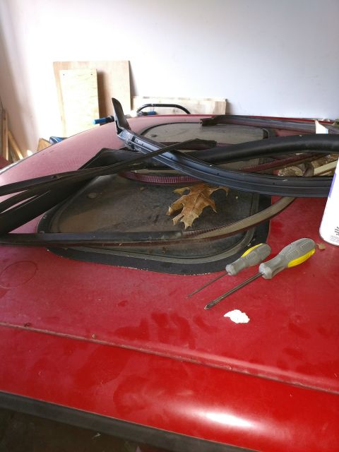 1989 Ford Probe — Two screwdrivers on a red car hood near a sunroof opening with a leaf and rubber trim.