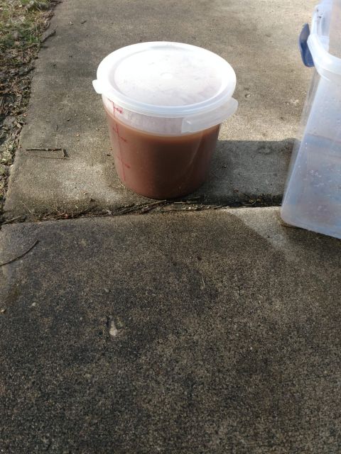 1989 Ford Probe - A plastic bucket filled with a brown liquid sits on a concrete surface next to a clear plastic container. The bucket has measurement markin…
