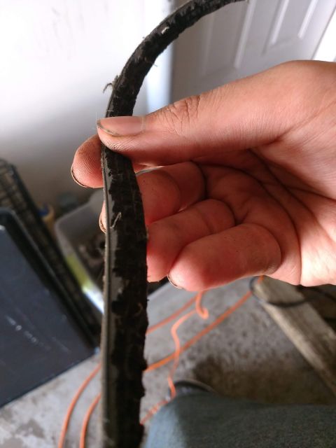1989 Ford Probe - A person's hand holds up a worn, frayed black rubber belt that appears to be from a vehicle. The belt is heavily damaged with visible wear…