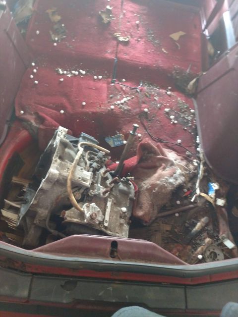 1989 Ford Probe - The interior of a car is filled with debris, including a disassembled transmission and various small white objects scattered across the red…