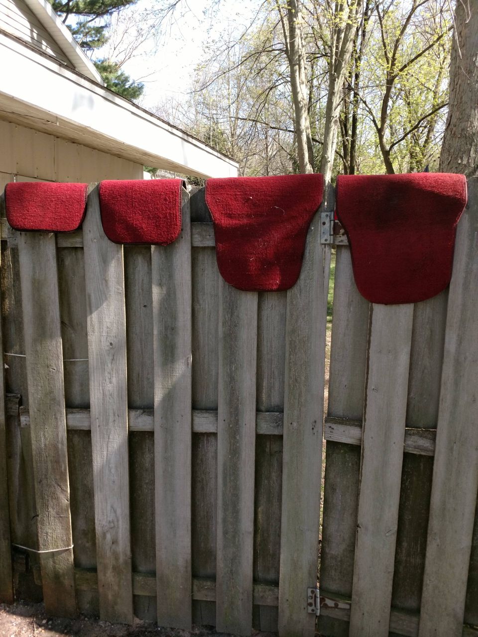 Four red saddle pads hanging on a wooden fence
