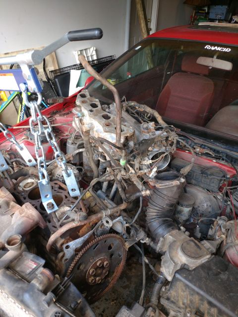 1989 Ford Probe - A red car's engine bay is shown with the engine partially removed and suspended by chains from an engine hoist. The interior with red seats…