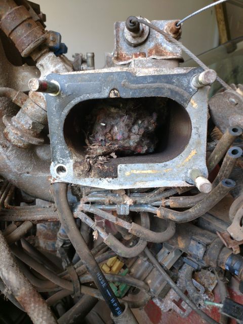 1989 Ford Probe - A close-up view of a clogged engine intake manifold, filled with debris and nesting material. Various hoses and rusty metal components surr…