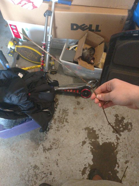 1989 Ford Probe - A hand holds a thin, twig-like object over a concrete floor with scattered water stains. In the background, a Razor scooter and a Dell comp…