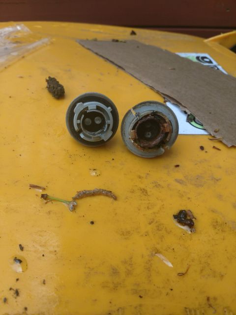1989 Ford Probe - Two light bulb sockets are shown on a yellow surface, possibly a trash can lid. One socket is intact and gray, while the other is broken an…