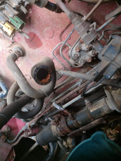 1989 Ford Probe - A close-up view of rusty engine components and hoses in a vehicle's engine bay. A red fluid stain is visible on the painted metal surface.