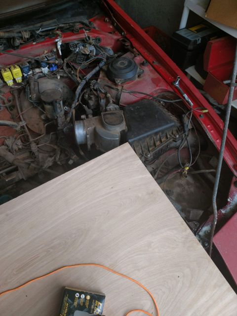 1989 Ford Probe - A close-up view of a red car's engine bay with various wires, hoses, and engine components visible. A piece of light-colored wood and an or…