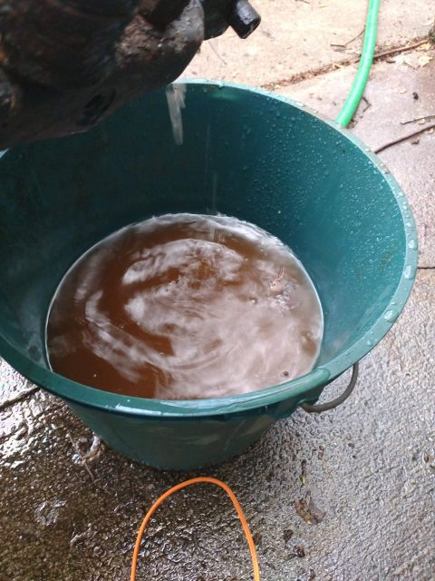 1989 Ford Probe - A dark-colored object is dripping liquid into a teal bucket filled with murky water. The bucket is sitting on a wet, concrete surface.