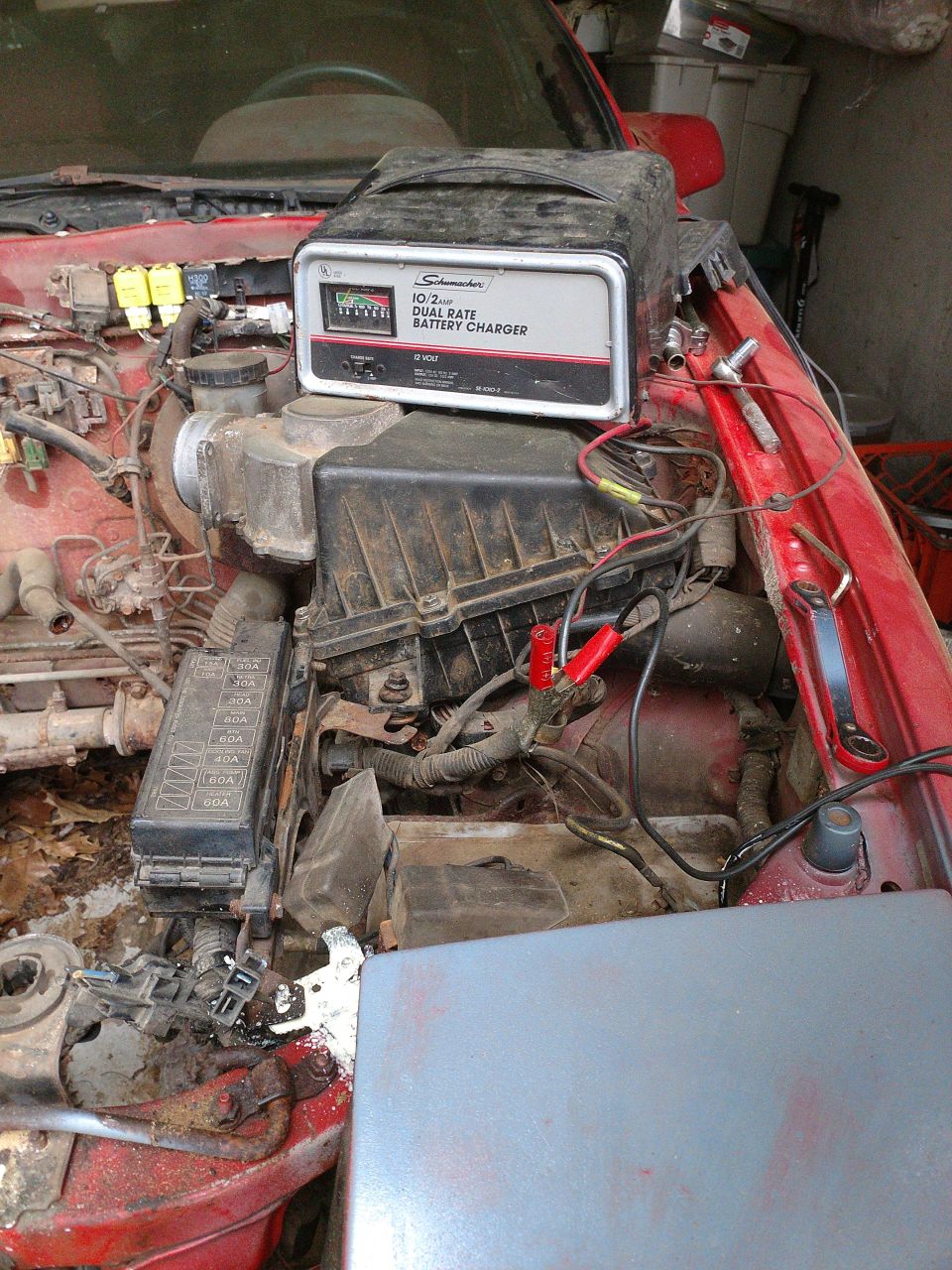 Red car engine bay with Schumacher battery charger connected.