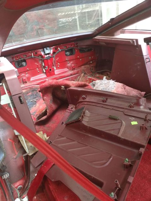1989 Ford Probe - The interior of a disassembled vehicle shows the red metal body and maroon plastic trim. A red seatbelt is visible in the foreground.