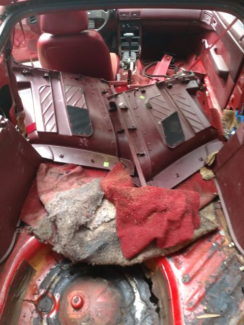 1989 Ford Probe - The interior of a red Ford Probe is shown with the floor carpet removed, revealing rust and damage to the floor pan. Various interior panel…