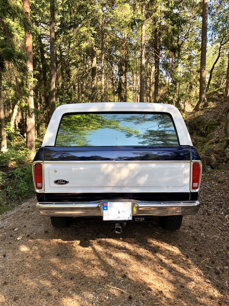 Rear view of a white and blue Ford Bronco in a forest setting.