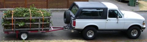 1992 Ford Bronco - 1020 lbs of yard debris, towed with ease.