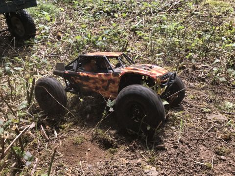 1989 Ford Bronco - A remote-controlled rock crawler is parked on a dirt path surrounded by vegetation.