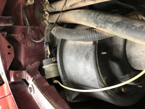1996 Ford F-150 photo