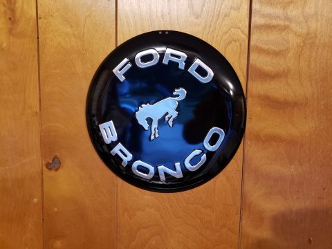 1989 Ford Bronco - This emblem displays the Ford Bronco name and iconic horse logo.