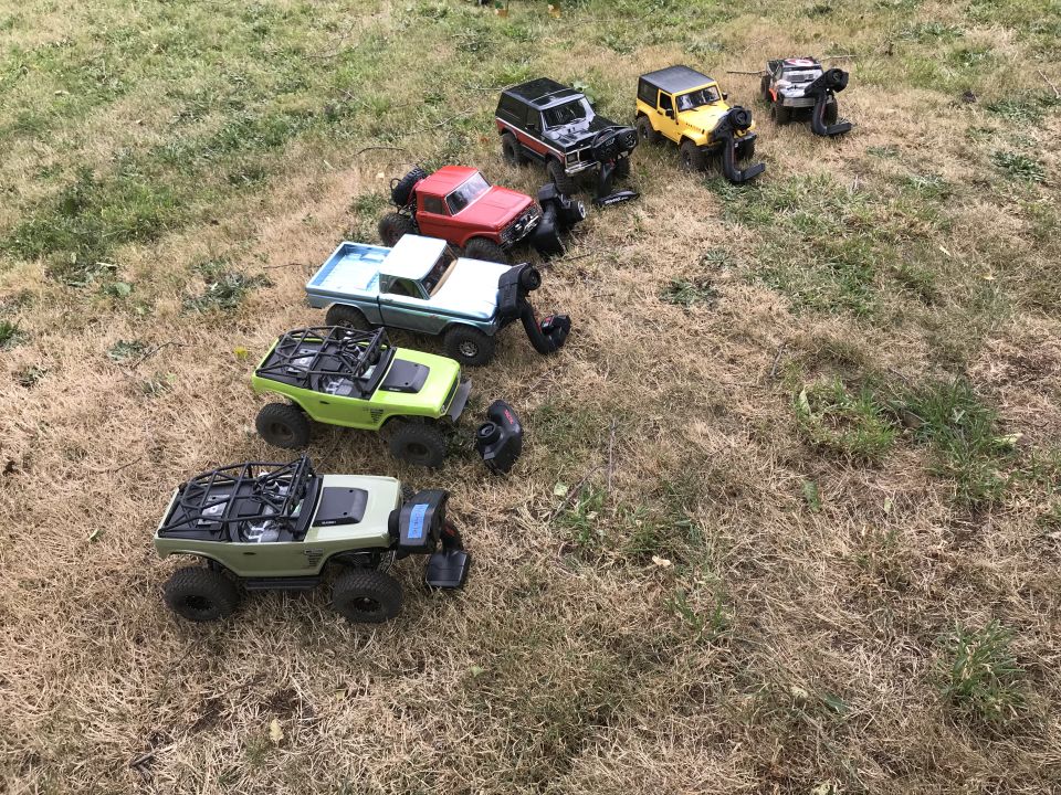 Several remote-controlled off-road trucks on a dry, grassy lawn.