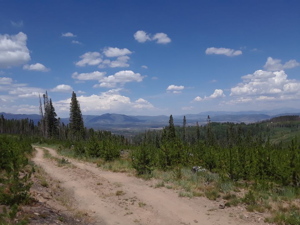 Road up Rollins Pass