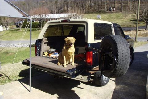 1995 Ford Bronco - A yellow lab sits patiently in the open tailgate of a 1995 Ford Bronco, which is equipped with a rear-mounted spare tire.
