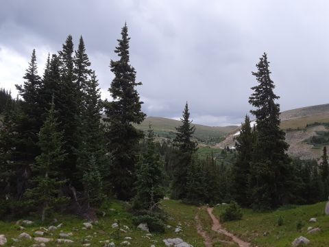 1999 Ford E250 - 1.05 miles down the trail. Van is visible in the far distance.