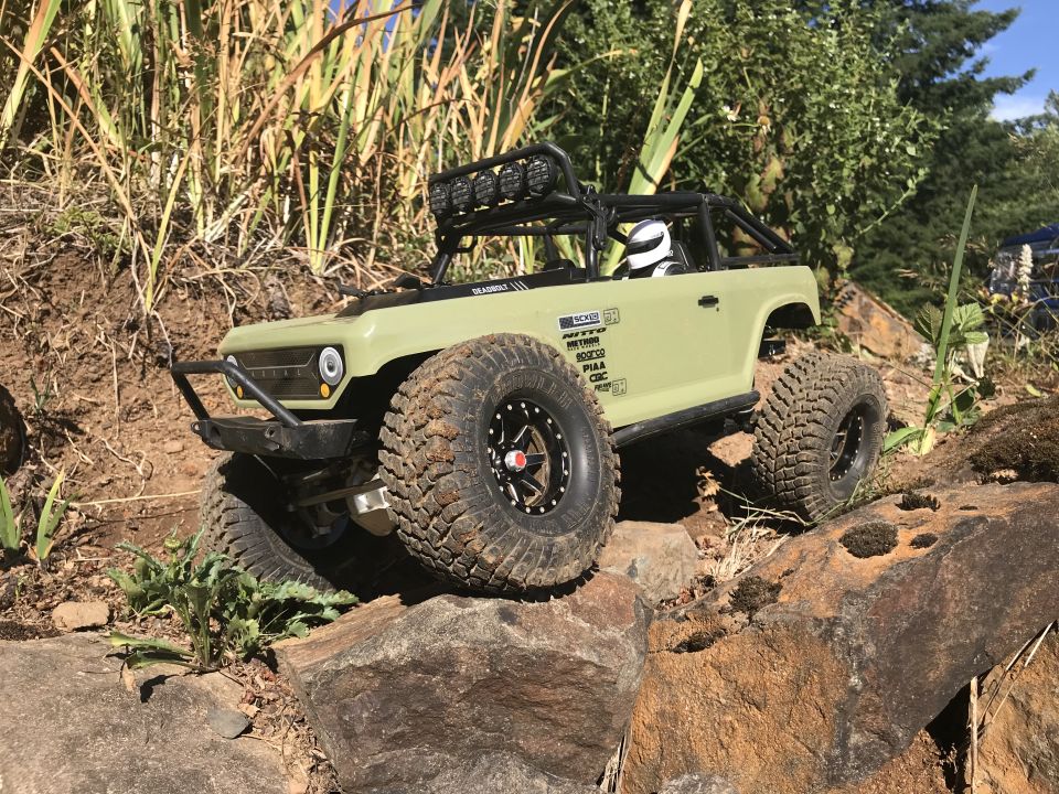 Green RC rock crawler truck on a rocky trail with tall grass.