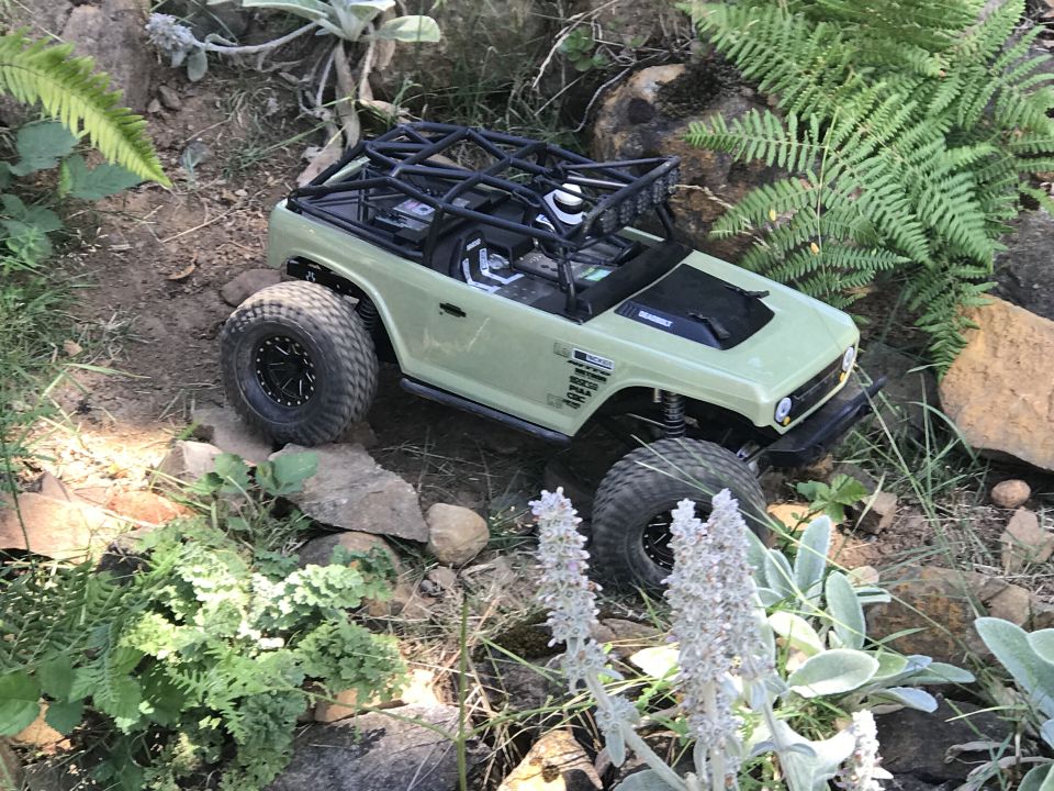 Light green RC rock crawler with black roll cage and off-road tires on a rocky trail.