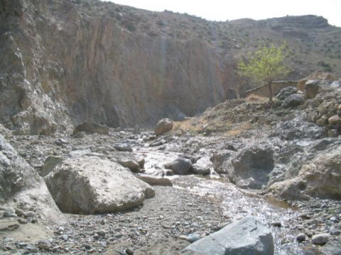 1981 Ford Bronco - A dry riverbed winds through a rocky, mountainous terrain with a single tree and a small structure in the distance.