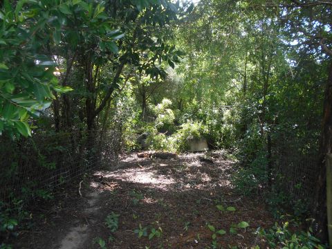 1992 Ford Bronco - A dirt path leads into a wooded area with a chain-link fence on the left and right sides. Sunlight filters through the dense tree canopy, i…