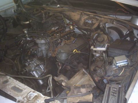 1991 Ford LTD Crown Victoria - Engine bay of a 1991 Ford Crown Victoria, showing the engine and associated components.