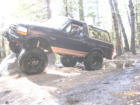1994 Ford Bronco - This 1994 Ford Bronco is navigating a challenging off-road course with a canine co-pilot.
