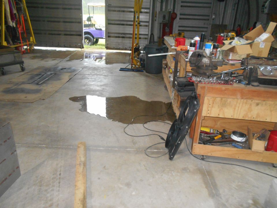 Purple golf cart seen through open garage doors